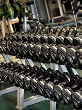 Row of barbells at Healthplex