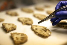 genetic-resilience-against-alzheimer's-feature.jpg