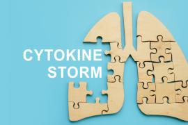 Cytokine Storm
