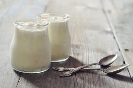 probiotics-and-prebiotics.jpg