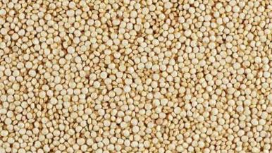 sample-these-superfoods.jpg